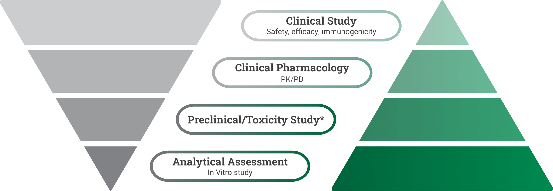 Biosimilar development characterized as a pyramid, starting with in vitro studies, analytical characterization, at the bottom, followed by in vivo studies, nonclinical. Next, clinical pharmacology, PK/PD, ending with clinical studies to review safety, efficacy and immunogenicity