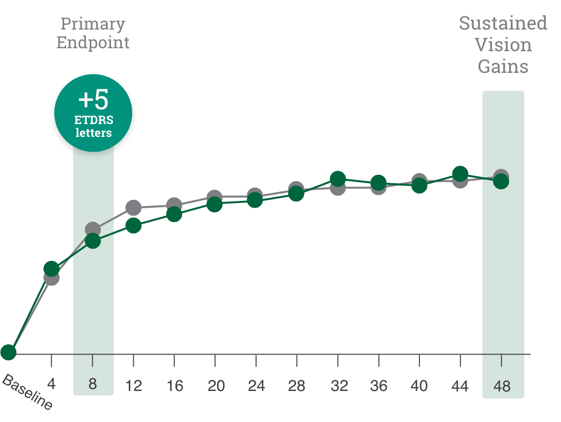 Bar Chart: Vision gains at 8 weeks and sustained through Week 483